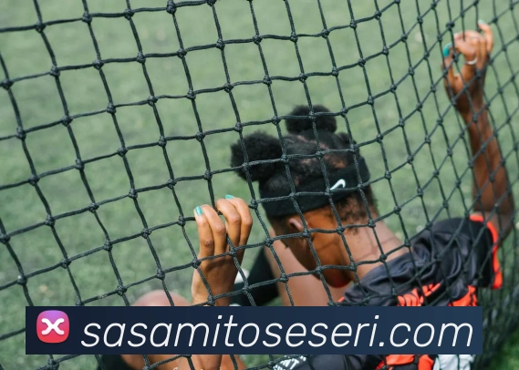 登录器